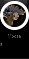 Moose