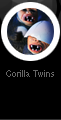 Gorilla twins